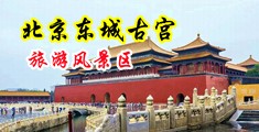 大鸡巴干小骚比视频中国北京-东城古宫旅游风景区